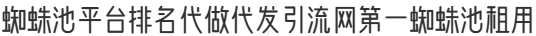 蜘蛛池平台排名代做代发引流网第一蜘蛛池租用